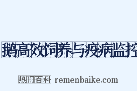 鹅高效饲养与疫病监控是什么意思的图片